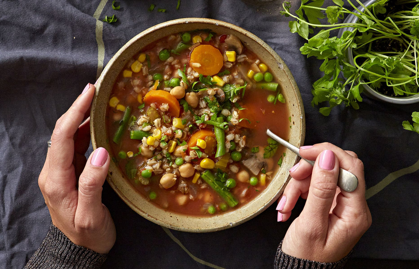 Vegetable Barley Soup - Jane Foodie