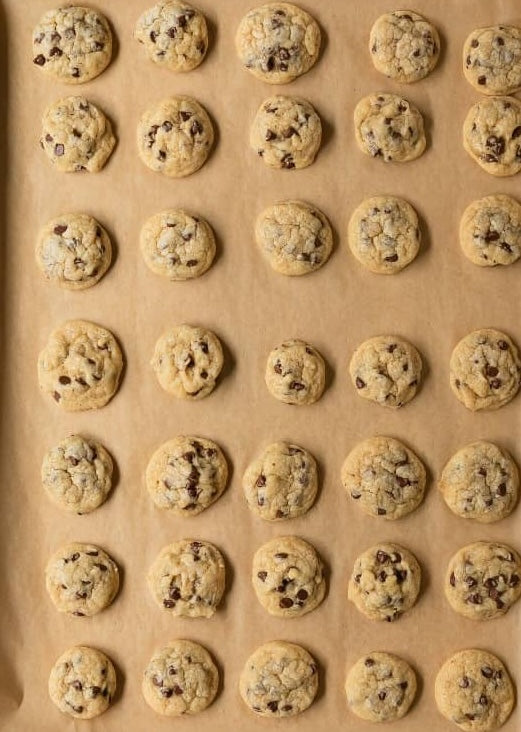 Frozen, Mini Chocolate Chip Dough Pucks - 50 pack