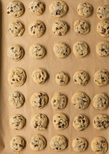 Frozen, Mini Chocolate Chip Dough Pucks - 50 pack