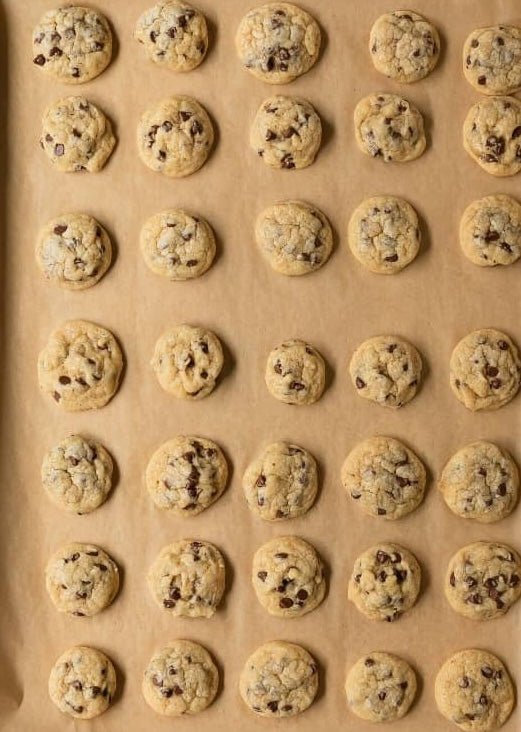 Chocolate Chip Mini's, Frozen Dough Pucks - 50 pack - Jane Foodie