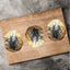 Poppy Seed Bagel Balls 3-Pack Bagel Jane Foodie Website
