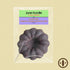 Gluten-Free Dark Chocolate Hazelnut Mini Bundt Cake - Jane Foodie